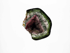 Liddicoatite Tourmaline Slice 110