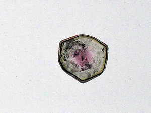 Liddicoatite Tourmaline Slice 120