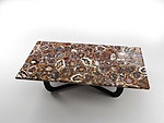 Petrified Wood Table Top (140 x 83 x 3 cm)
