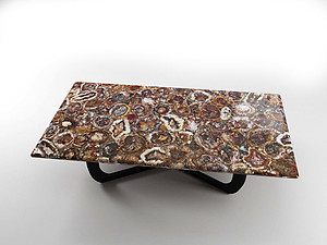 Petrified Wood Table Top (140 x 83 x 3 cm)