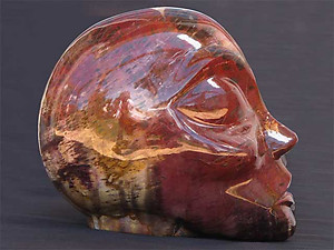 Petrified Wood Alien Face Carving