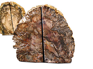 Petrified Wood Bookends (3-5Kg) - AA