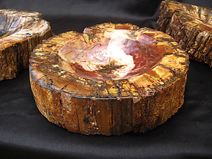 Petrified Wood Candy Dish (2-3Kg/Pc)