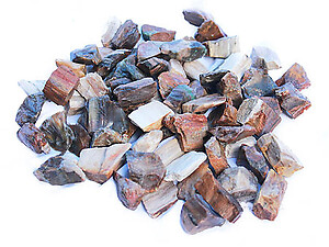 Petrified Wood Gem Decor Rough