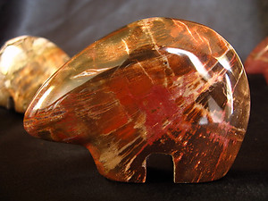 Petrified Wood Bear