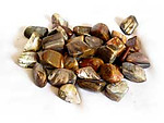 18-30 mm Petrified Wood Tumbled Stones