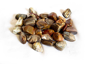 18-30 mm Petrified Wood Tumbled Stones