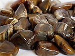 30-45 mm Petrified Wood Tumbled Stones