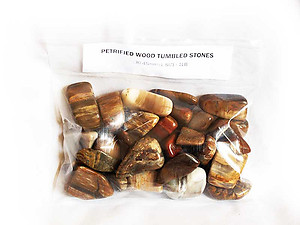 30-45 mm Petrified Wood Tumbled Stones