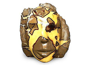 Septarian Face