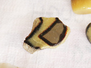 Septarian Polished One-Face Specimen (POF) 1LB LOT