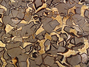 Septarian Table Top (140 x 83 x 3 cm)