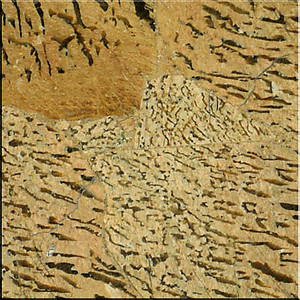 Zebradorite Tile (50 x 50 cm)