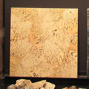 Zebradorite Tile (40 x 40 cm)