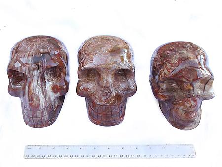 Petrified Wood Skulls