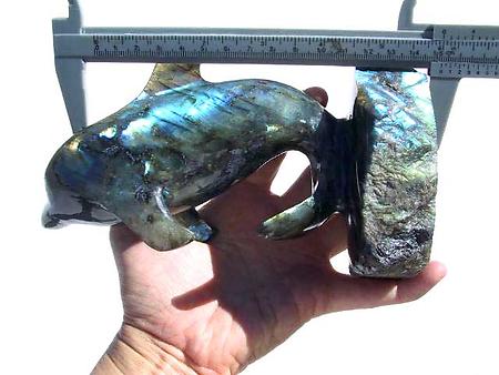 Labradorite Dolphin - Curled Tail