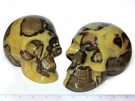 Septarian Skulls