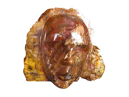 Petrified Wood Face