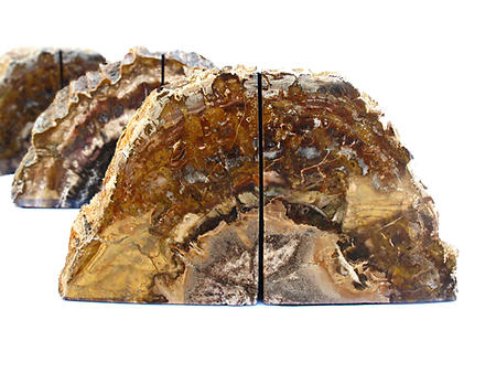 Petrified Wood Bookends (3-5Kg) - AAA