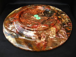 Petrified Wood Plate Fancy Base - 12 inch - 1.80Kg
