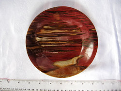 Petrified Wood Plate 6.5 inch - 0.36Kg