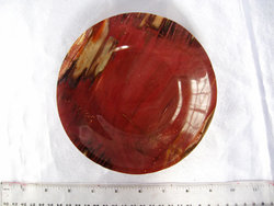 Petrified Wood Plate 6.5 inch - 0.38Kg
