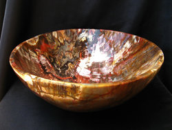 Petrified Wood Bowl 12 inch - 3.66Kg