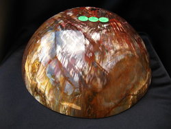 Petrified Wood Bowl 8.5 inch - 1.53Kg