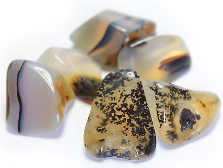 45-60 mm Dendritic Agate Tumbled Stones