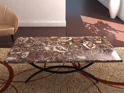 Petrified Wood Table Top (140 x 83 x 3 cm)
