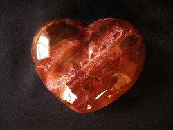 Petrified Wood Large Decorative Heart