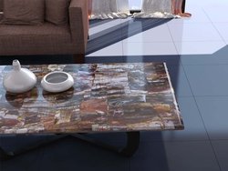 Petrified Wood Table Top - Longitudinal Cut (140 x 83 x 3 cm)