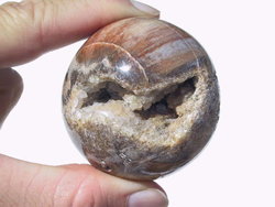 Petrified Wood Spheres (50-60 mm)