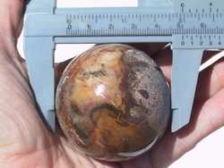 Petrified Wood Spheres (40-50 mm)