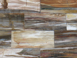 Petrified Wood Table Top - Longitudinal Cut (140 x 83 x 3 cm)