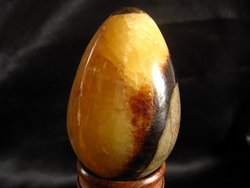 Septarian Egg 40-50 mm