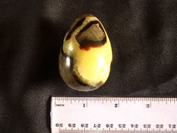 Septarian Egg 40-50 mm