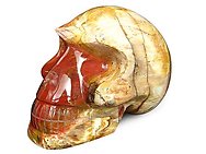 Petrified Wood Skulls