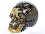 Septarian Skulls