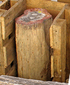 Petrified Wood Pedestal 54.35 Kg