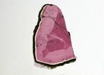 Liddicoatite Tourmaline Slice 112