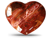 Petrified Wood Large Decorative Heart