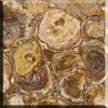 Petrified Wood Tile - longitudinal Cut (50 x 50 cm)