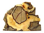 Septarian Bookends (1-3kg)