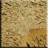 Zebradorite Tile (40 x 40 cm)